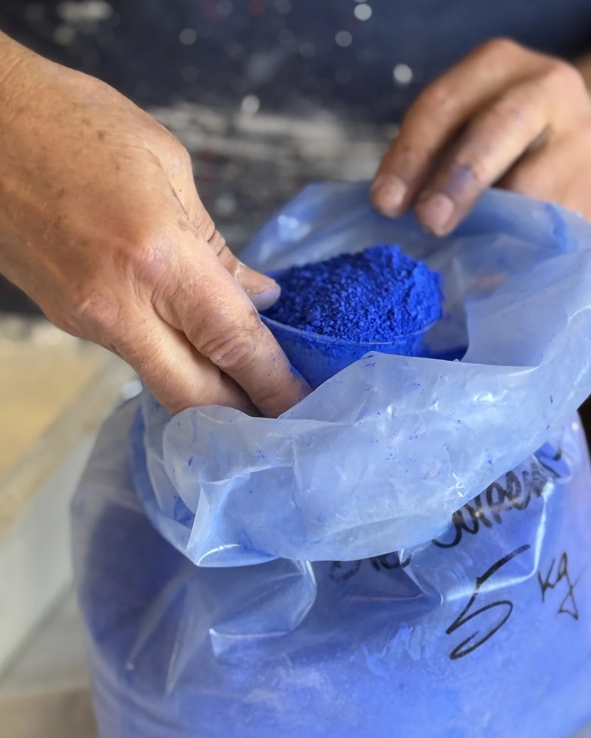 René Galassi puisant le pigment bleu en poudre
